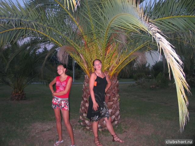 41208_33345639.jpg